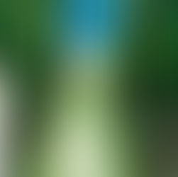 Qué ha supuesto montar mi marca: Belleza Colateral y Vida