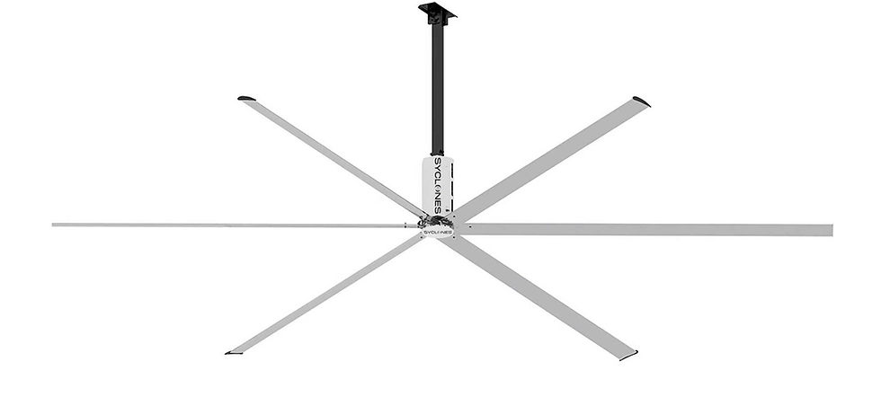 WhatsApp Image 2026-01-08 at 16.56.19.jpeg