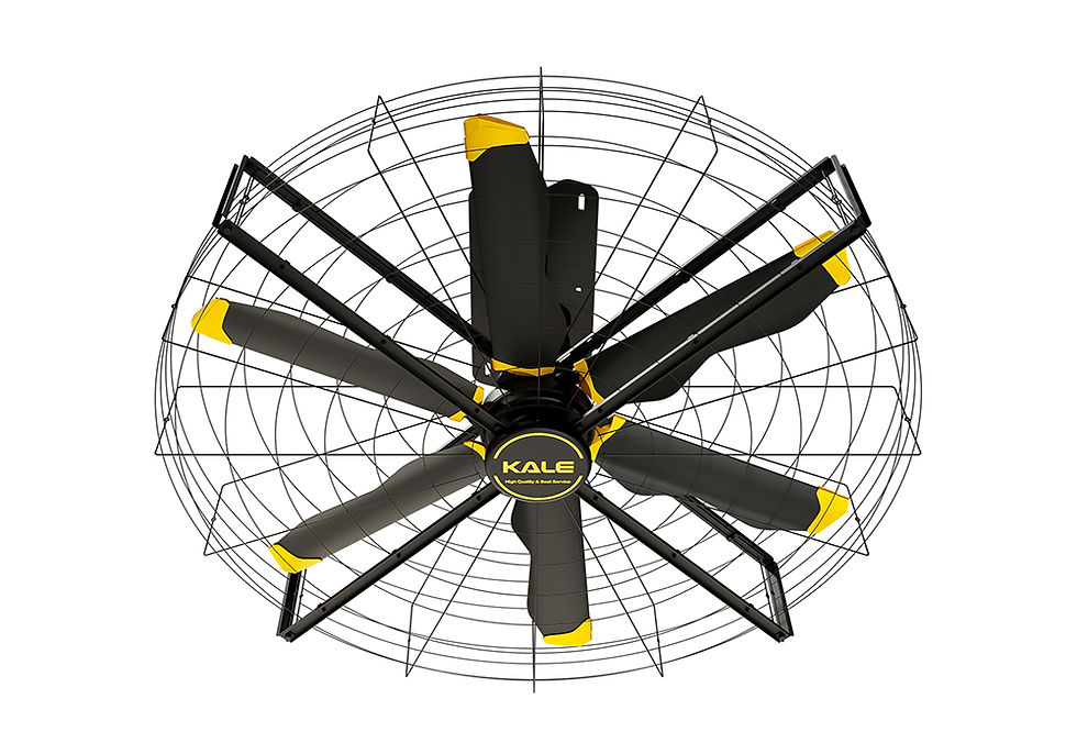 AIRFREE Wall Mounted Fan.jpg
