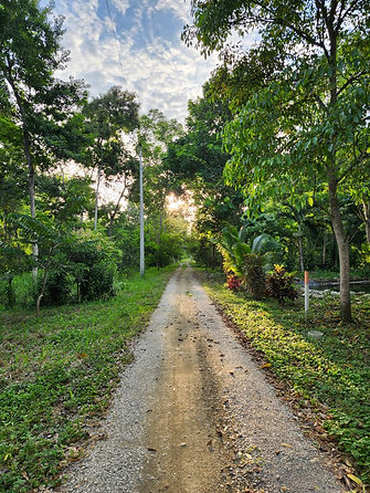 WhatsApp Image 2024-05-21 at 20.02.53.jpeg