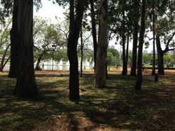 Parque Ibirapuera