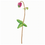 Thumbnail: Tulip0621