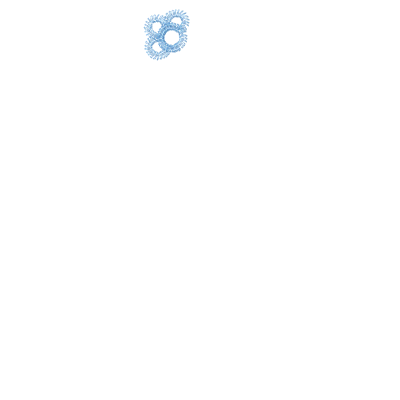 Lace Border