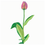 Thumbnail: Tulip