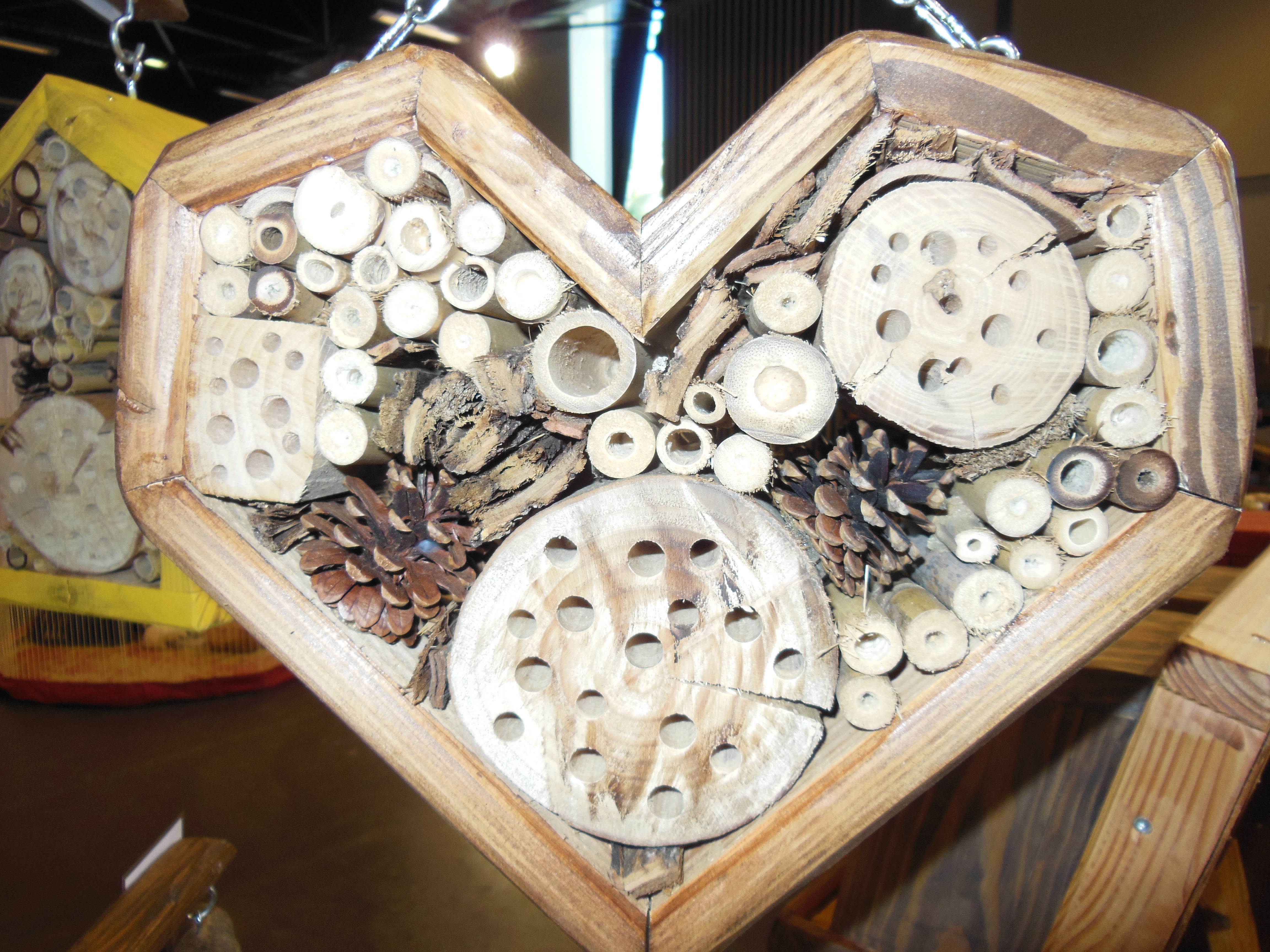Love bug hotel