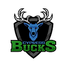 cypressbucks FILES-01.png