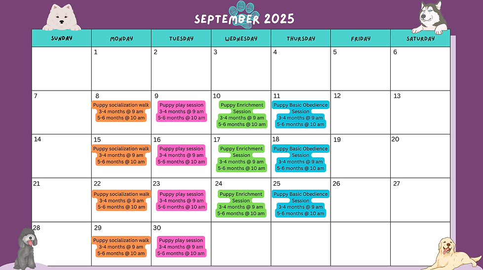 TK9 Monthly Calendar.png