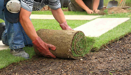landscaping-work.jpg