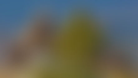 Akbaba Lokantası ve Şah Kartal