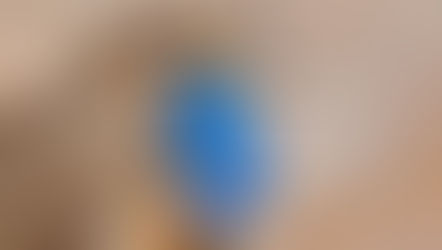 NİKON AF-S NIKKOR 300mm f / 4E PF ED VR