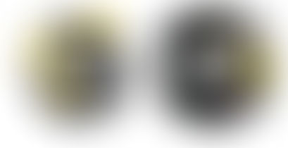 Nikon Yazılım Güncellemeleri