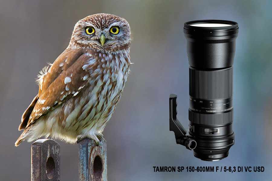 Test: Tamron SP 150-600mm F / 5-6,3 Di VC USD