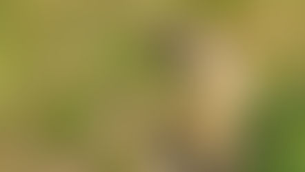 Gelengi ve Antidepresan Gülümseme