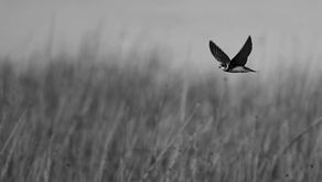 Fotoğraf Kitapları – 3