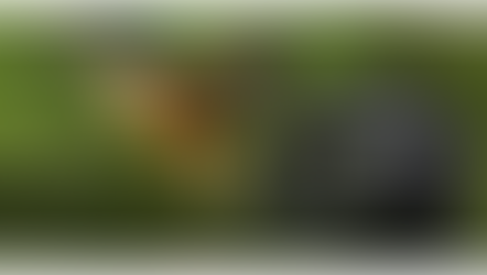 Nikon D610 Duyuruldu