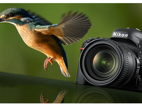 Nikon D610 Duyuruldu