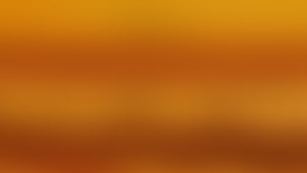 Flamingo Fotoğrafı Çekmek