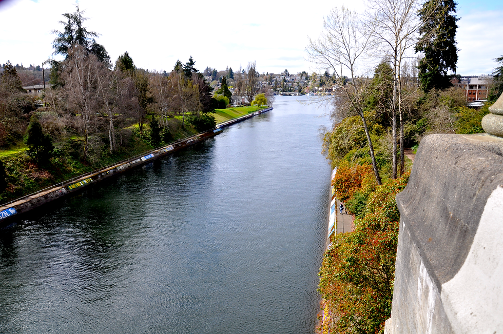 The Montlake Cut