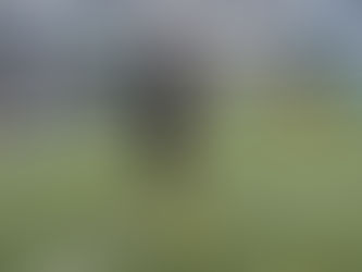 目的を明確に
