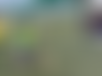 WINTER SCHOOL（Day.3）