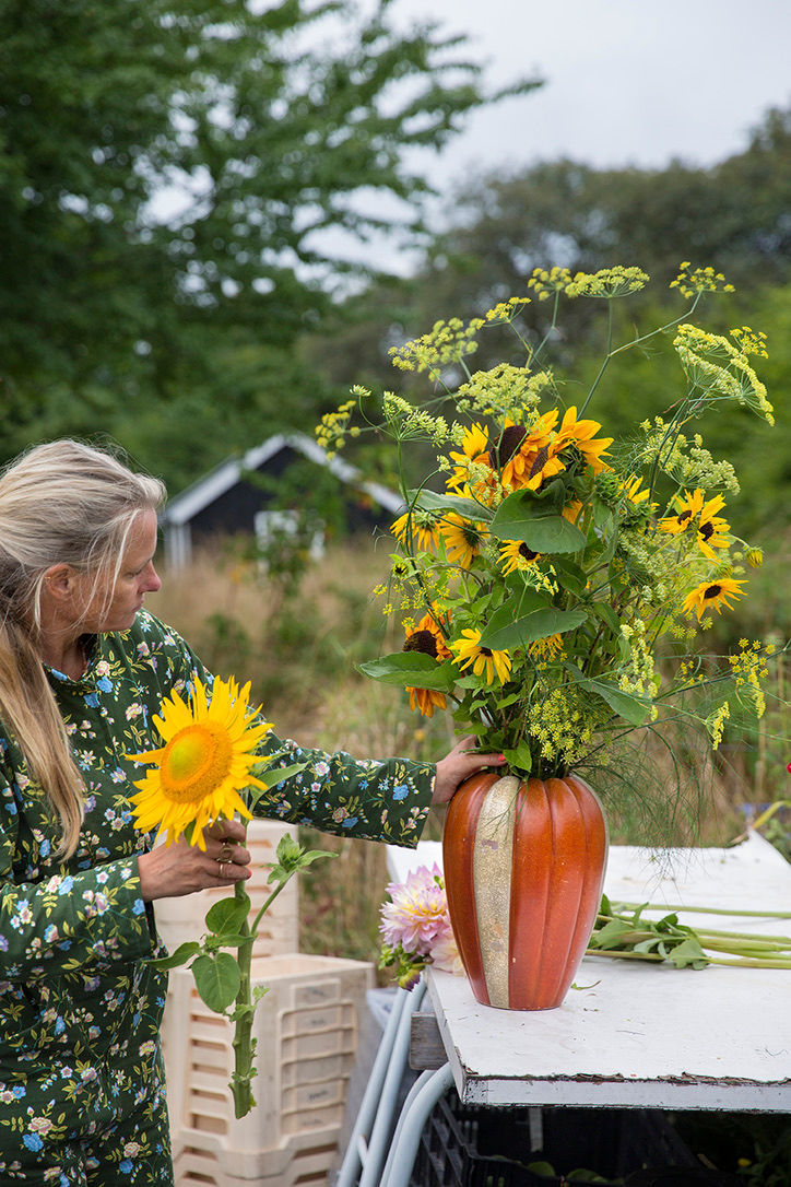 Miniaturebillede: solsikke frø, Danske økologiske blomsterfrø fra Brede Havekiosk