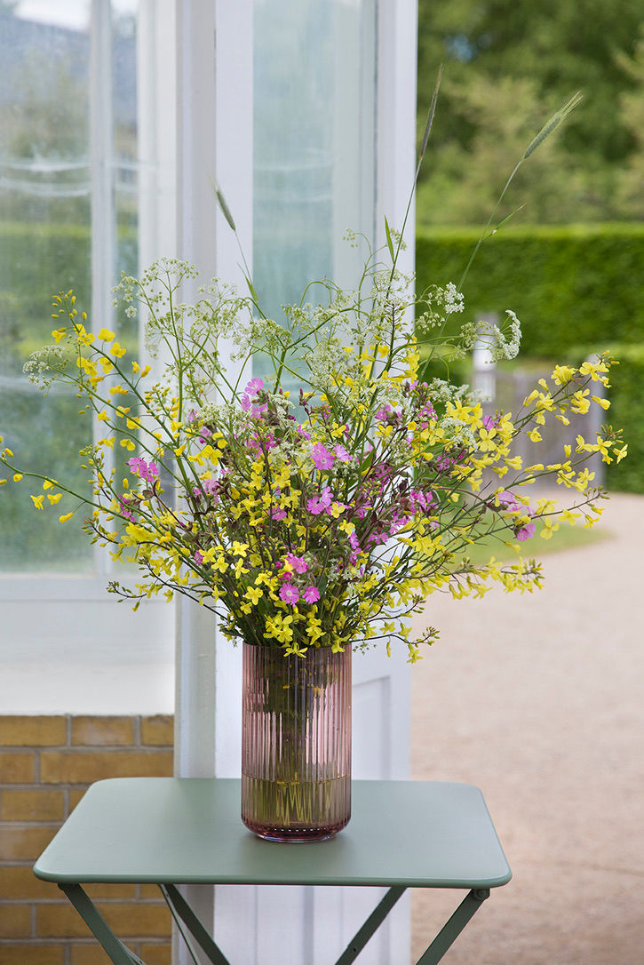 Dagpragtstjerne. Hjemmehørende. Danske økologiske blomsterfrø fra Brede Havekiosk