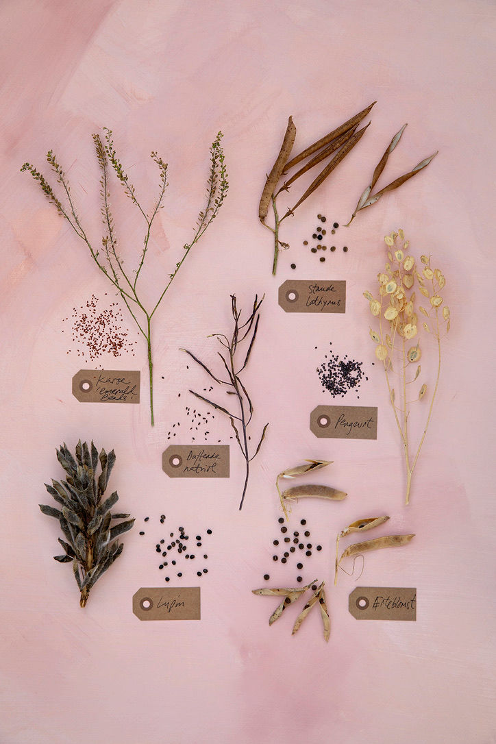 Miniaturebillede: Forudbestilling ' Magiske Blomsterfrø'