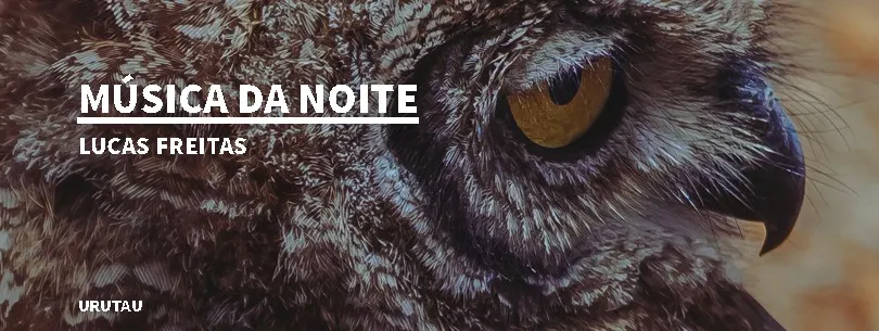 banner do livro Música da Noite, que apresenta o rosto de uma coruja e o título, assim como o nome do autor e da editora