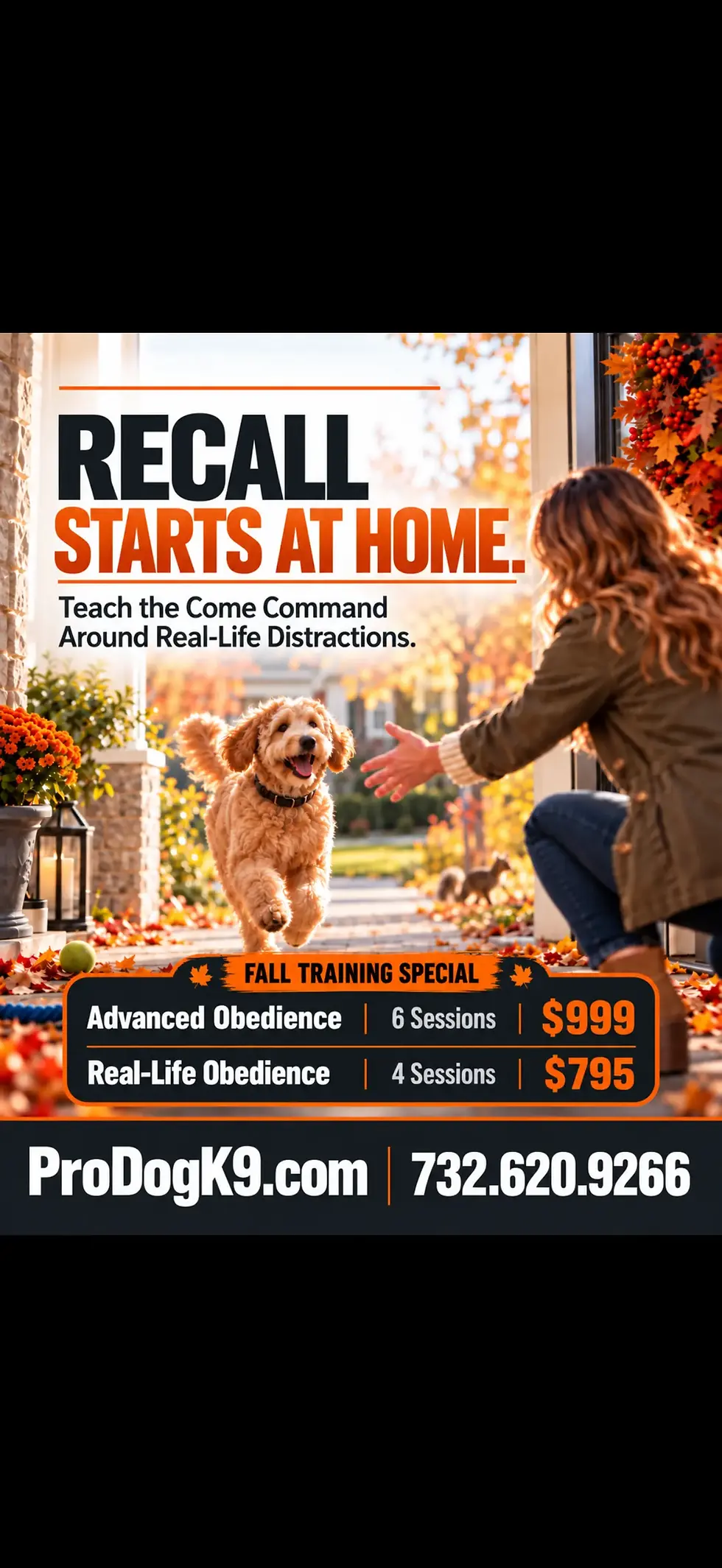 How to Train a Dog to Come When Called: A Step-by-Step Guide for Monmouth County, NJ Owners (2026)