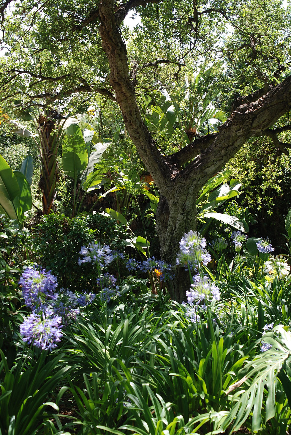 Garden Design Sotogrande