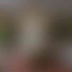 Arabic style living Room