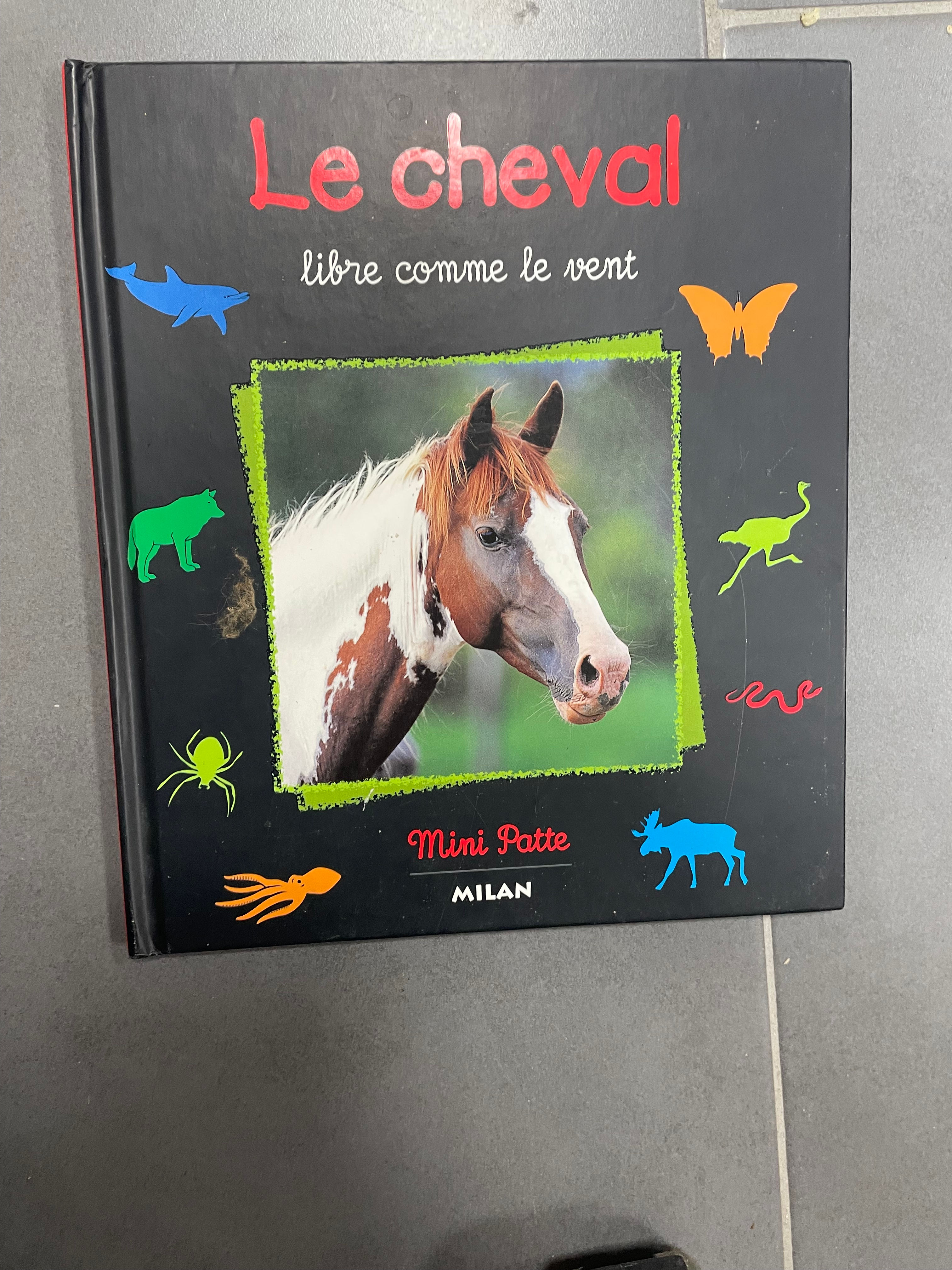 9436 livre le cheval mini patte