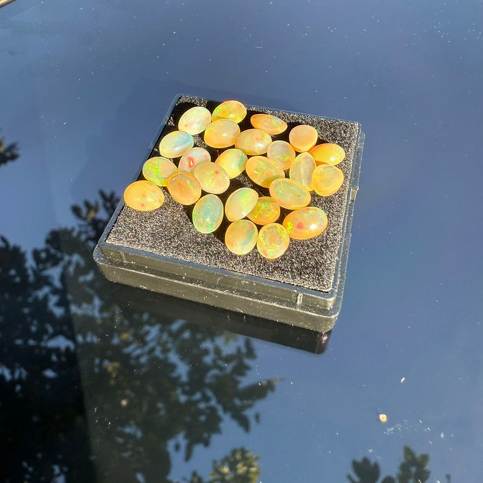ต่างหูเงินโอปอล (Opal)
