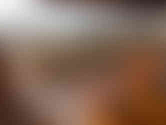 a room with chairs overlooking a vineyard