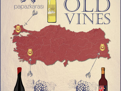 Turkish Wine Selection: Taste the History of Turkey’s Old Vines