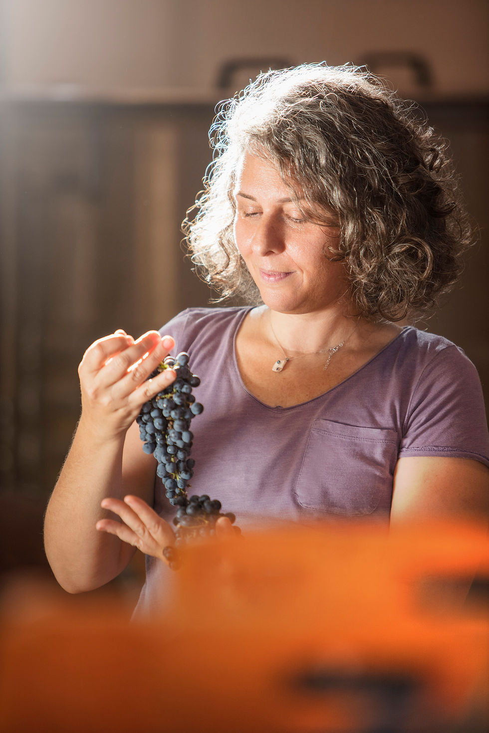 Turkish woman vineyard owner holding a grape bunch and looking down at the bunch with dramatic lighting