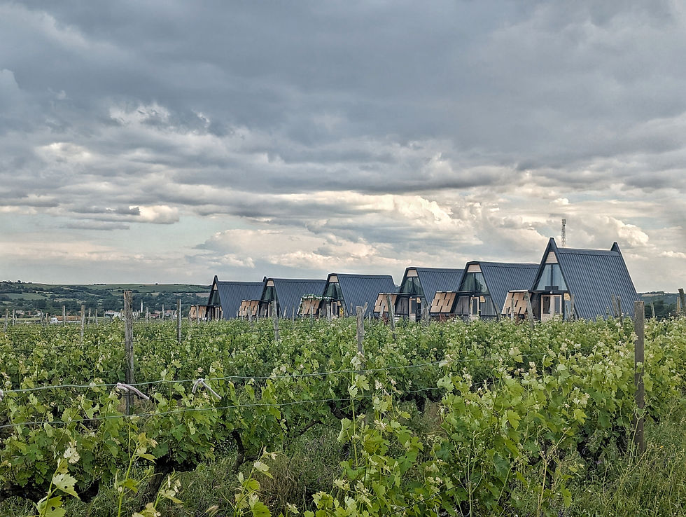 bungalows in a vineyard