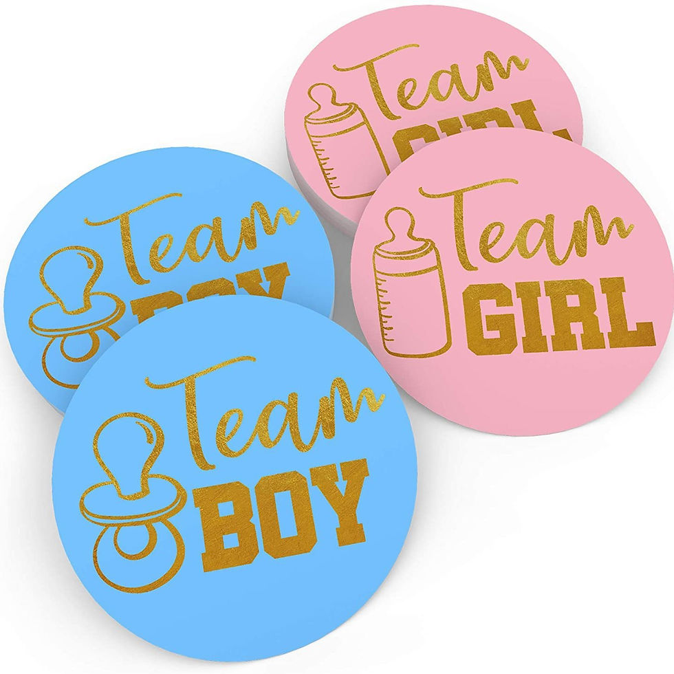 Gender Reveal Baby Shower Party Team Boy Team Girl Game