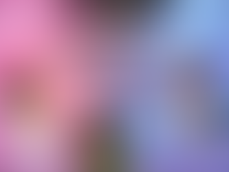 Top Trending Gender Reveal Ideas in New Zealand for 2026 - Predictions & Inspiration