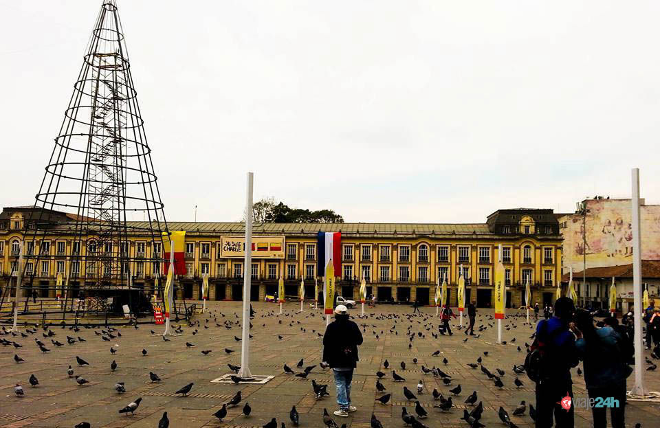 viaje24h bogotá