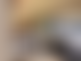 北欧とインダストリアルの魅力が調和したLDK