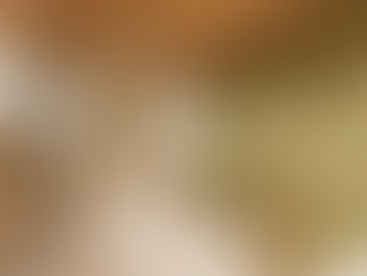 各空間を自然につなぐ、動線を意識した廊下