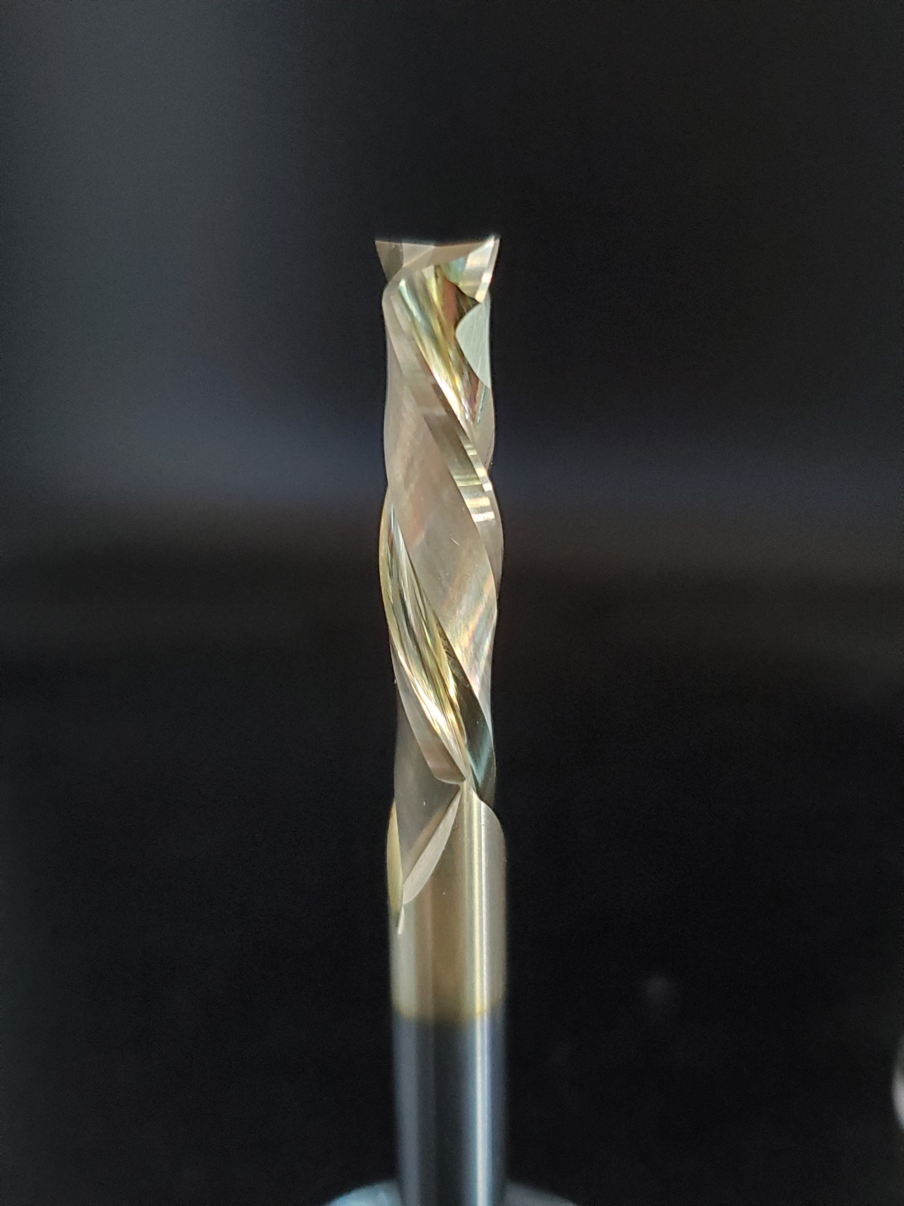 "The Jenny Bit" Double Pack