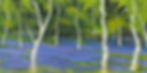 Fine Art Images Colchester