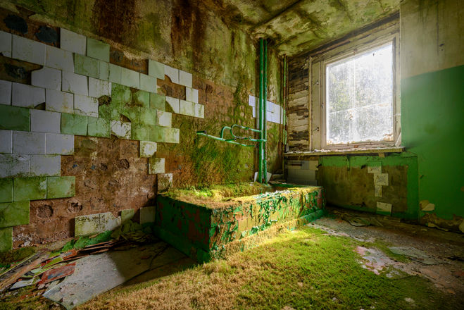 urbex végétation abandon 