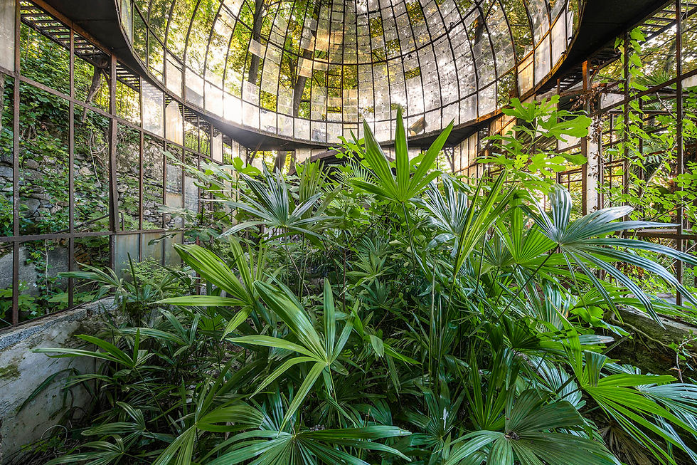 " LOST GREEN HOUSE " Les jardins d'hiver dans l'oubli et verrières d'un autre temps ...