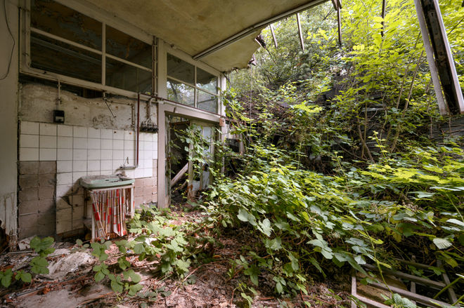 végétation urbex decay 