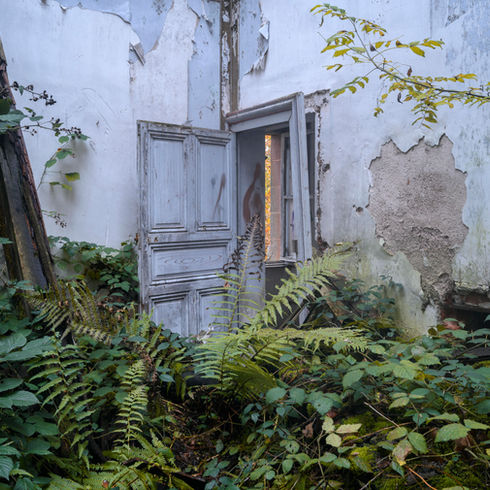 architecture art design abandon peintures urbex exploration végétation nature vert