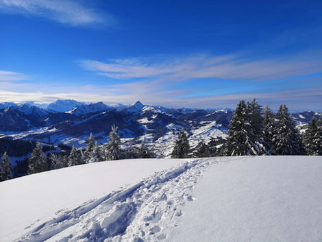 Tages – Schneeschuhtour Hinterfallenkopf: Sa. 21.2.2026