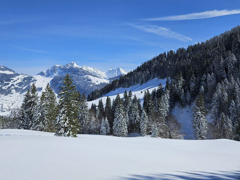 Schneeschuhtour Fideriser Heuberge